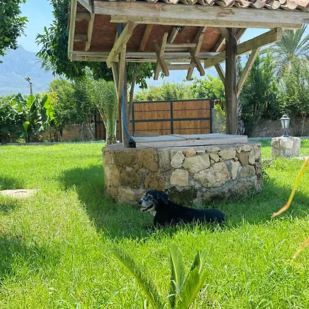 Lägenhetshotell The Horse Farm 3*