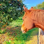 The Horse Farm Aparthotel Agios Georgios (Kyrenia)
