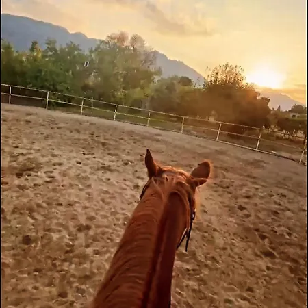 The Horse Farm Agios Georgios (Kyrenia)