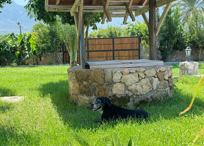 Lägenhetshotell The Horse Farm 3*