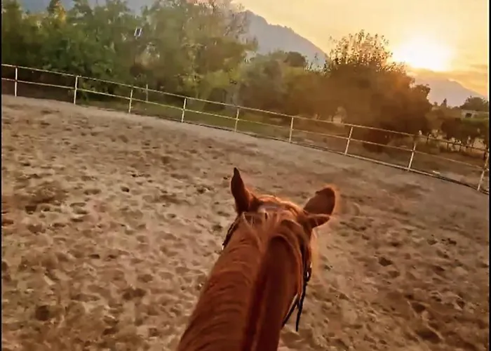 The Horse Farm Agios Georgios (Kyrenia)